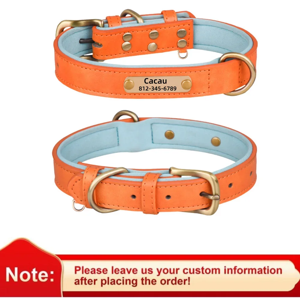 Personalized Soft Padded Leather Dog Collar and Leash with Engraved Nameplate