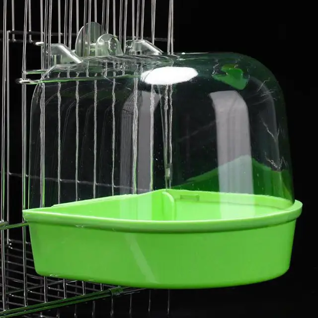 Bird Bath 5