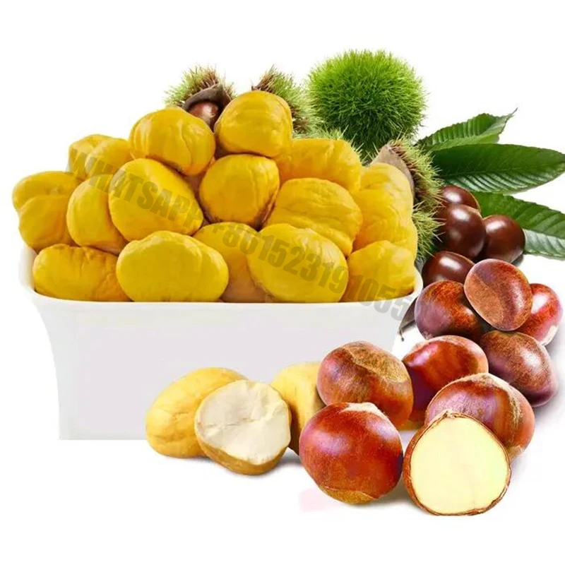 Fully Automatic Chestnut Peeling Machine Does Not Hurt Chestnuts Complete Shelling Maker 5