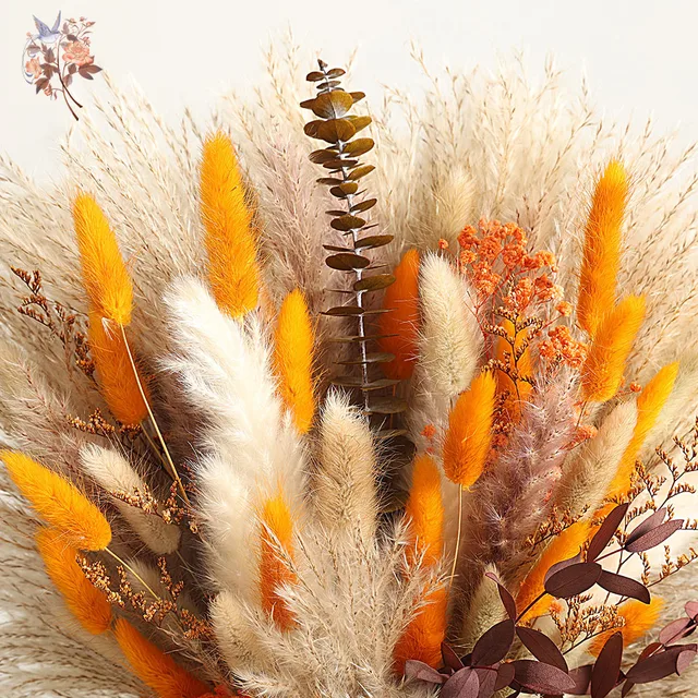Natural Fluffy Pampas Grass Dried Flowers Bouquet Orange Boho