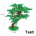 Crooked Neck Tree