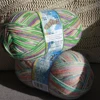 100g Opal 4ply Sock Yarn Wirbelwind Collection, 75% Wool 25% Polyamide Space Dyed Colourful Yarn for Knitting&Crocheting 6