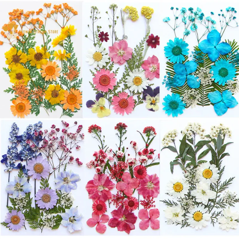 1 bolsa de flores secas prensadas para resina, flores secas prensadas  naturales, flores secas coloridas, margaritas, entrega aleatoria