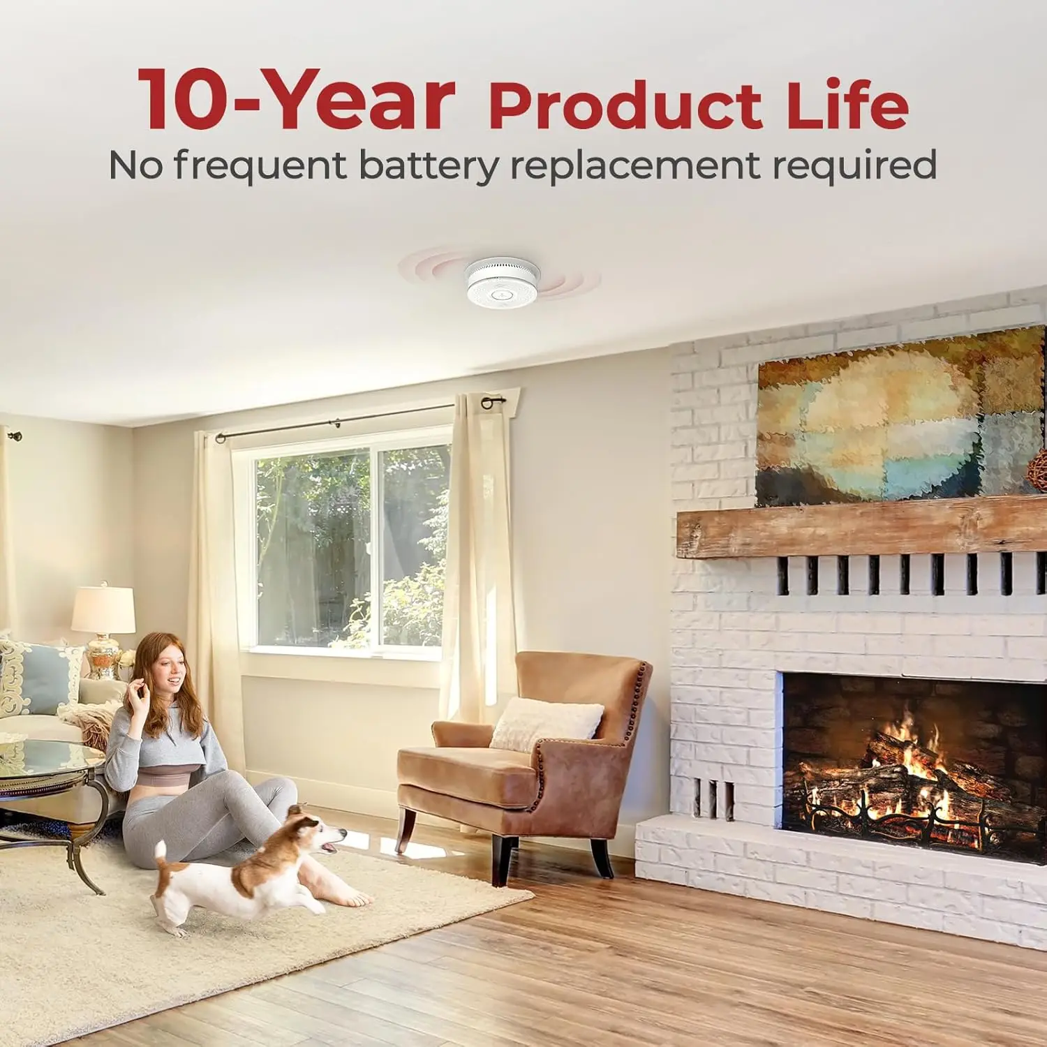 Detector Combo, 2 in 1 Smoke and CO Detector with 2 AA Batteries Back Up