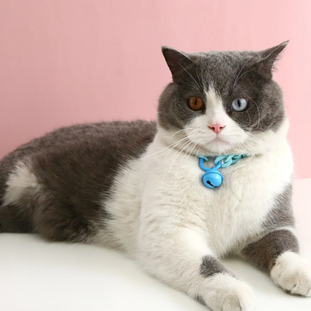 Title 19, Pet Cat Collar with Bell Macaron Candy Color Re...