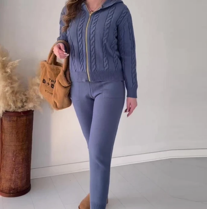 Solid Fried Dough Twists Hooded Zipper Top Casual Style Home Set 2023 New Autumn Winter Women's Commuting Long Pants