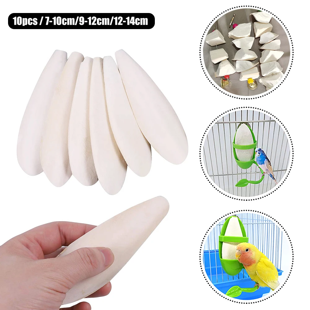 10pcs Cuttlefish Bones Demineralized Natural Cuddle Bone Calcium Supplement Pet Bird Food Nutritional Supplements Gifts for Pets