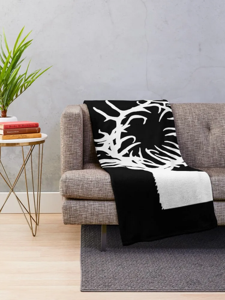 �׸��ڿ� �� �罿 ������ ���, ���� ���, ���� ���