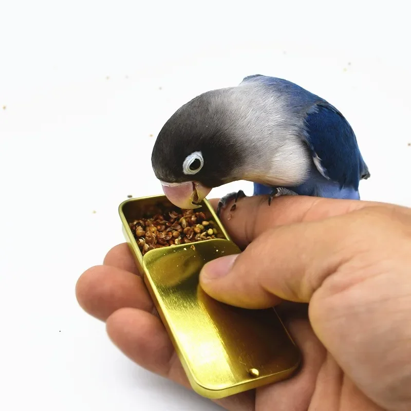 1 Pcs Bird Feeding Handheld Feeder Mini Feeding Box Multiple Colors Training Food Jar Growth Interactive Toy