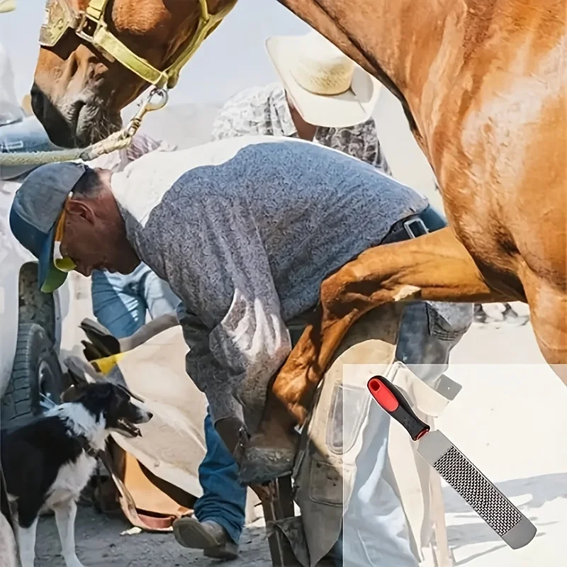 Râpe de Maréchal Pro pour Parage Sabots à Manche Bois