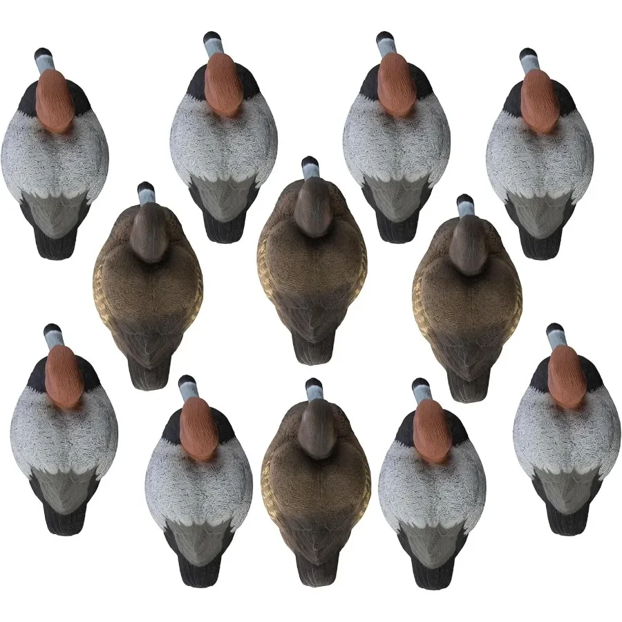 description