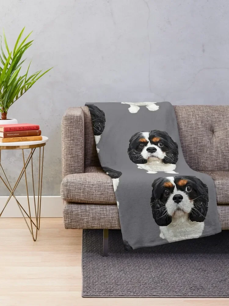 ī�߸��� ŷ ���� ���дϾ� Ʈ���� ���ο� ���, ���� ���� ���, ���� ��� ���