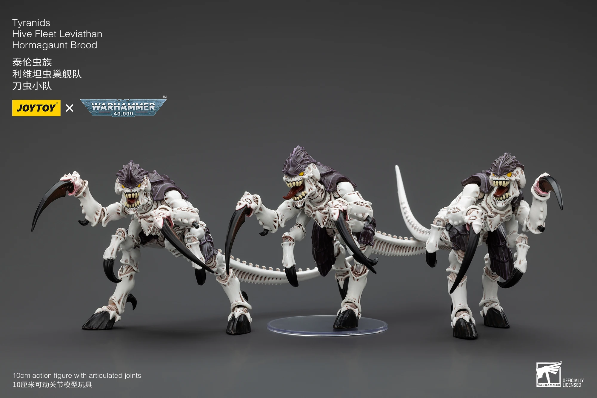 S6f5bdccb51c44c62906607bd8cdf6a2eB - Warhammer 40,000 Shop