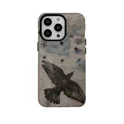 Retro Black Eagle Acrylic & TPU Magnetic Phone Case - iphon16 PRO (1)