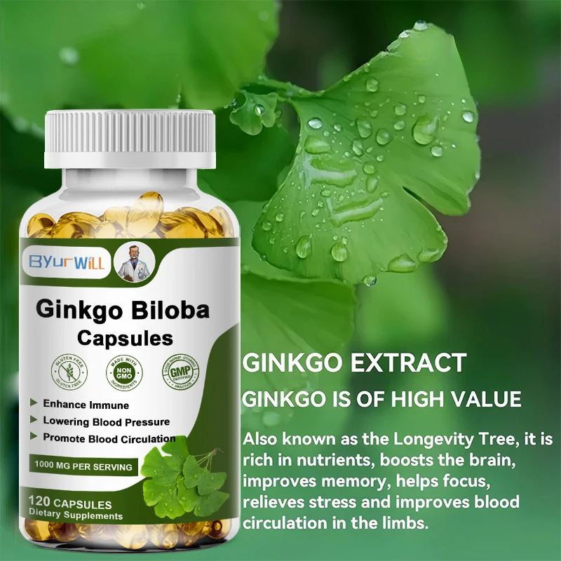Natural Ginkgo Biloba Supplements ginkgo biloba supplement with Vitamin B1/B2/B12 for Brain Health