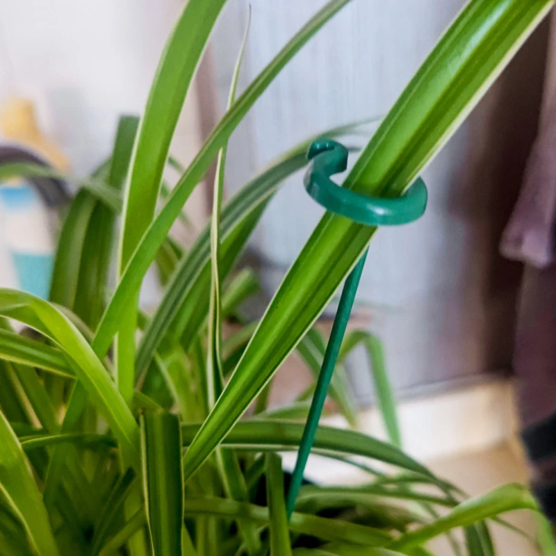 5pcs Plastic Plant Stand Rack Flower Support Pile Greenhouse Arrangement Fixed Rod Indoor Plant Vegetable Holder Bracket