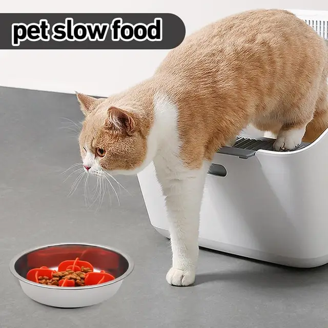 Slow Feeder Dog Bowls Silicone Slow Feeder Dog Bowl Anti Gulping Healthy Eating Raised Dog Bowl Pet Bowl Slow Eating Dog Bowl 5