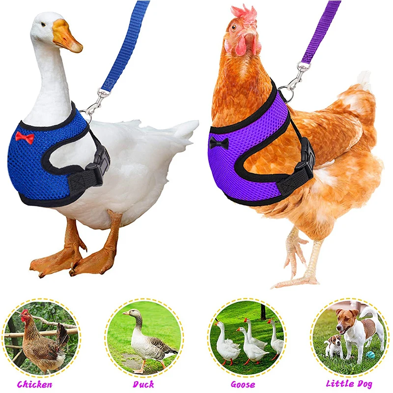 Adjustable Chicken Harness Leash Comfortable And Breathable Small Size Hen Pet Vest For Chicken Duck Goose Training Walking