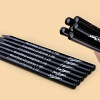 Wood Free Graphite Sketching Carbon Pencil Set for Art Students Drawing Charcoal Pencil Solid Wholesale 4