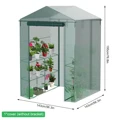 Greenhouse