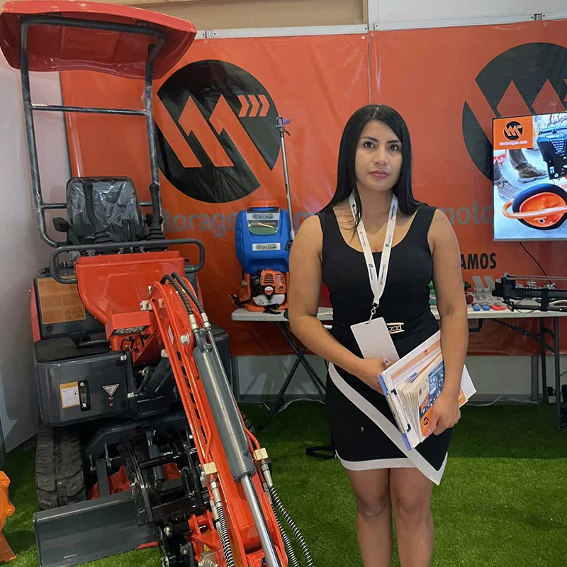 Mini Escavatore Cinese Prezzo Mini Bagger Diesel 1.2 Ton 2 Ton In Vendita 1 Ton Piccolo Escavatore Prezzo In Vendita