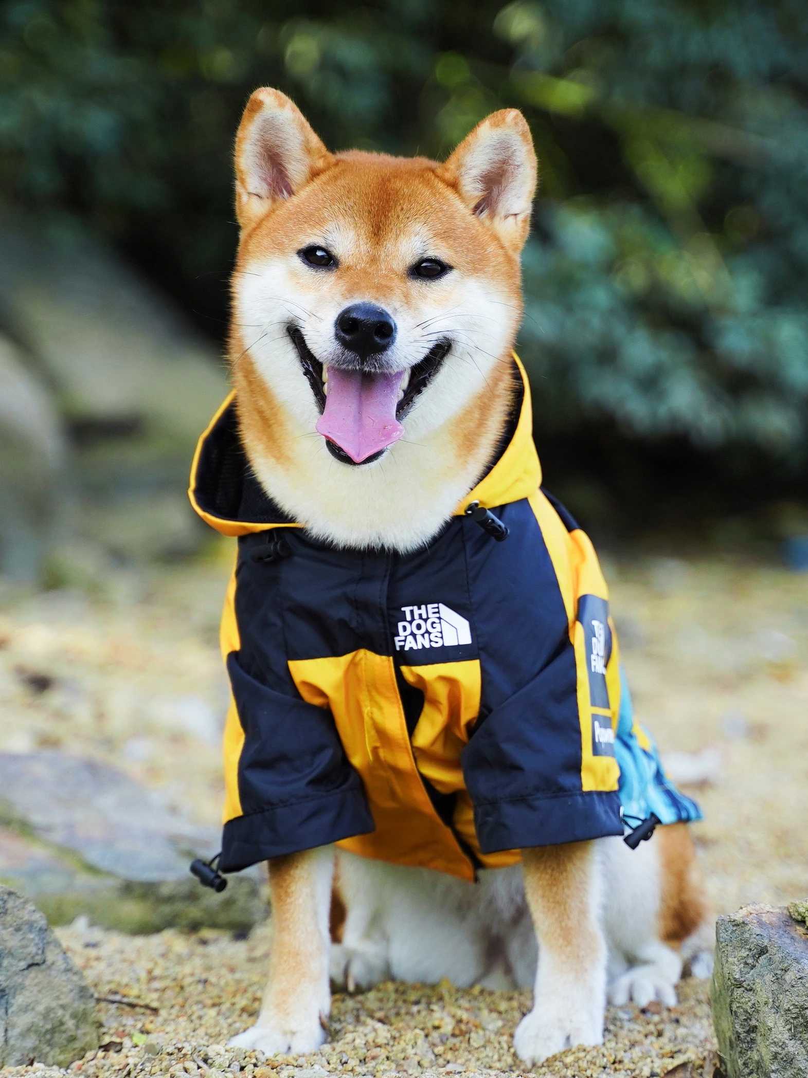 

Dog raincoat firewood dog clothes popular logo ski-wear, pet medium-sized dog windproof and waterproof breathable hooded