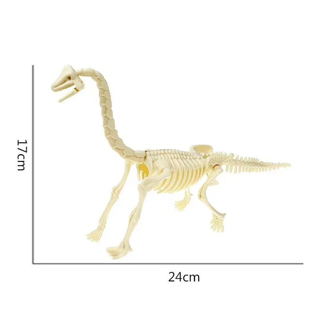thumbnail image 1 of Kit de ensamblaje de esqueleto de dinosaurio hecho a mano para niños, modelo de esqueleto de plástico de fósil de dinosaurio de simulación, modelo de Tiranosaurio Rex, 1 of 5