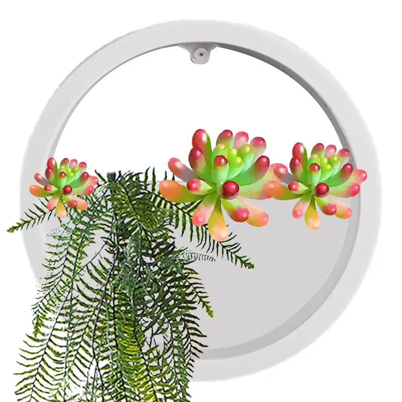 

Wall Planters Vase Clear Wall Planters Circle Round Flower Pot Indoor Vertical Container Wall Hang Home Decoration