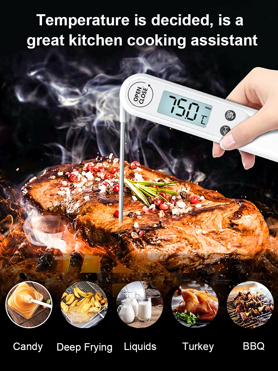 Waterproof Digital Thermometer 1