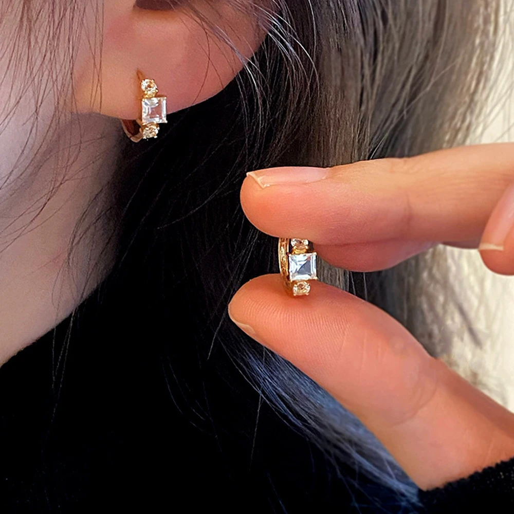 

CANNER Fashion Mini White Zircon Hoop Earring S925 Sterling Silver Loops Pendant Huggie Earring For Women Exquisite Jewelry Gift
