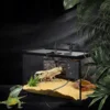 Intelligent Reptile Fogger Terrariums Humidifier Electronic Timer Automatic Mist Rainforest Spray System Kit Sprinkler Control 2