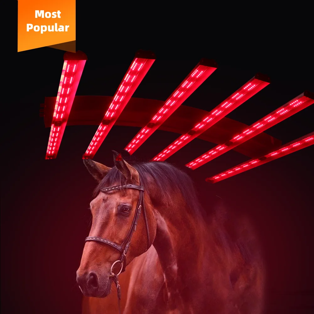 Redfy Barn Use Infrared Led Equine Solarium Device Trattamento Completo Del Corpo Macchina Per Terapia Della Luce Infrarossa Per Cavallo