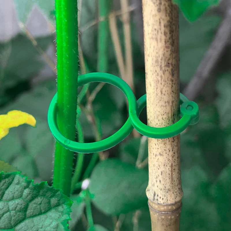 Reusable Garden Plant Support Clamp 1