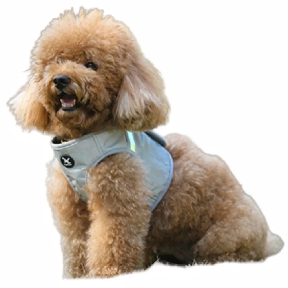 

Night Vision Phantom Colorful Fabric Reflective Nylon Dog Harness & Leash Set, Pet Puppy Chihuahua Teddy Yorkshire Terrier Vest