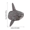 Artificial Fish Simulated Ocean Sunfish Sea Fish Model Home Decor Educational Kids Toy Fish Prop For Pretend Play Tabletop Shop 6