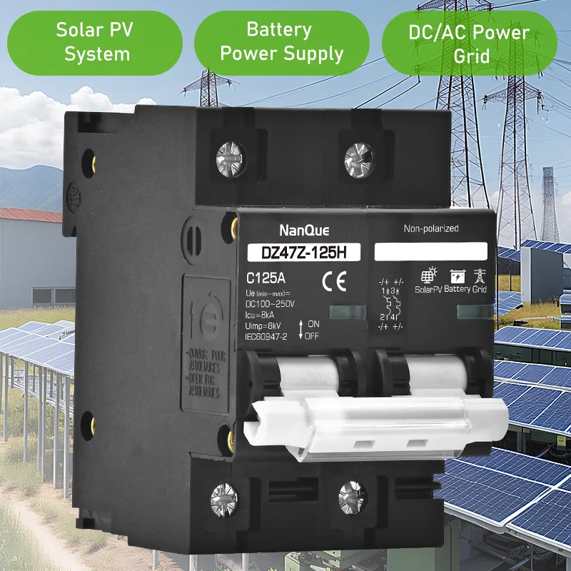 2P MCB 100A 125A 150A DC100V 150V 250V 500V 1000V Voltage Circuit Breaker C Curve for Solar Panel Battery Short Circuit Protection circuit breaker solar circuit breaker