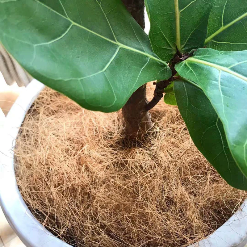 Potted Coconut Silk Pet Nest Coconut Shell Fiber Pet Bedding Pest Control Protect Plant Soil Temperature