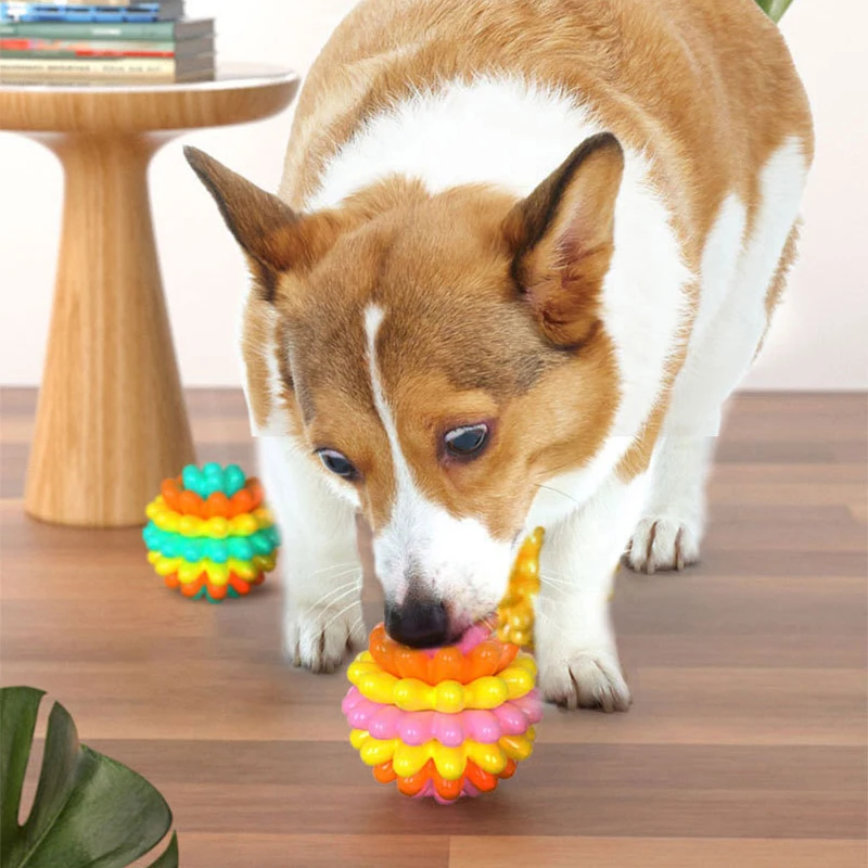 

Bonzerpet Pet Toys Dog Chew Durable Molar Bite Toy TPR Ball Pet Products
