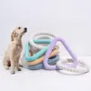 TPR rubber pet toys Triangle Pull ring toy cotton rope chew resistant dog toy Pet interactive tug of war toys 1