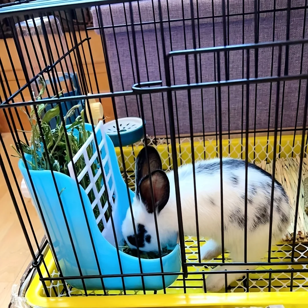 Hay Feeder Suitable for Small Pet Cages Two in One Rabbit Hay Feeder Suitable for Rabbits Guinea Pigs Cats