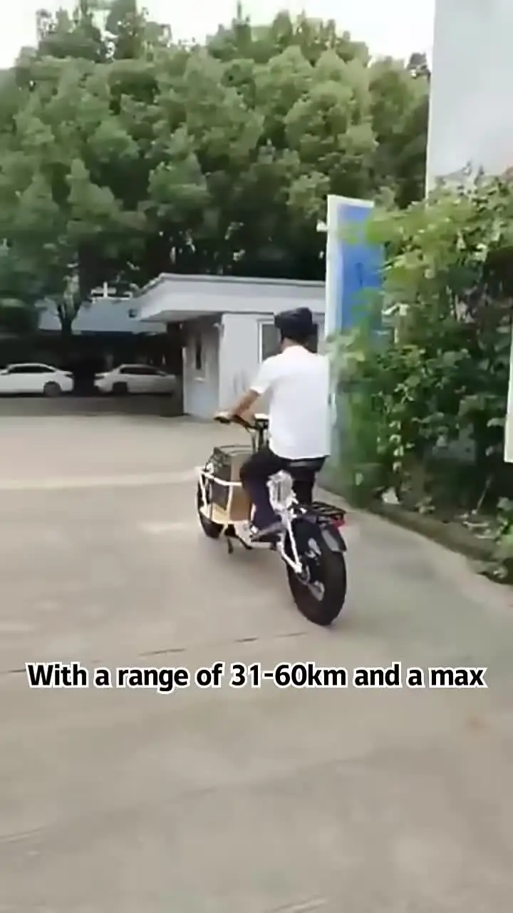 Argeted 750W EU Электровелосипеды Bafang двигатель толстые шины Электрический Грузовой