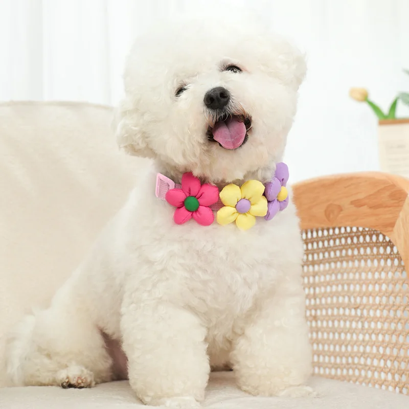 CP606-flower decoration pet dog & cat lovely collar，adjustable with durable webbing.