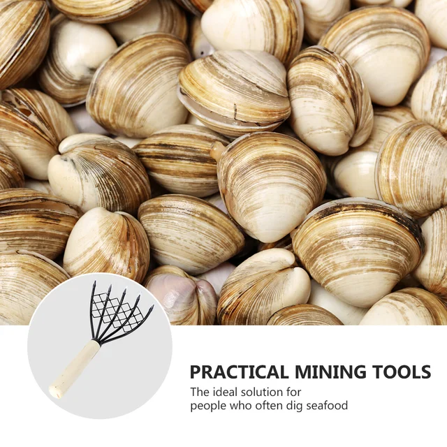 Claw Rake Tenyésztő És Tiller Wood Fogantyú A Tökéletes Poros Levegőztetett Talajhoz Ásni - Image 4