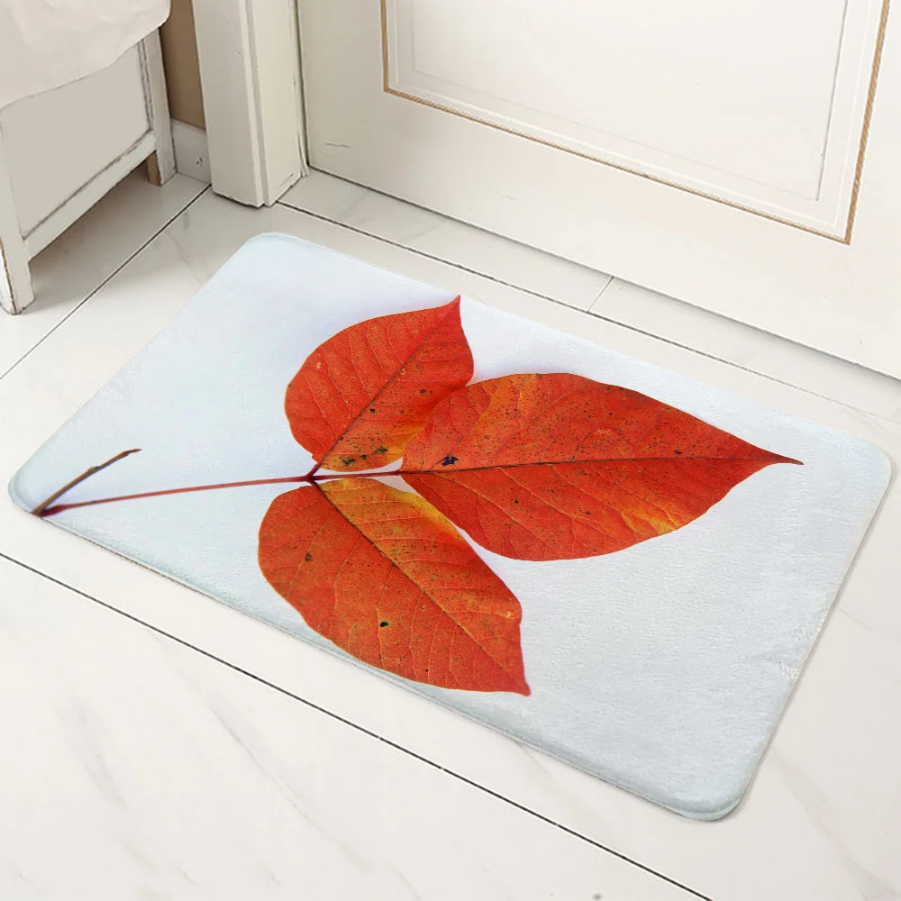 

Bath Rug Mat Outdoor Doormat Entrance Door Carpet Cute Room Decor Decoration Home Accsessories Kitchen Rugs Customized Carpets