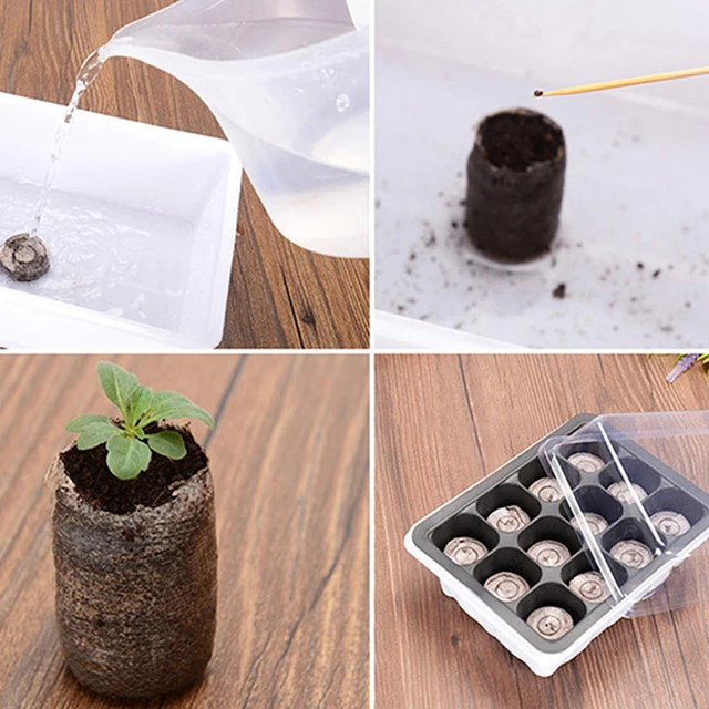 6/12 Cell Potte Pot Seed Tálca Készlet Csírázó Lélegző Lyukakkal Tenyésztő Ültetvény Doboz Zöld Palánták Talajblokk - Image 2