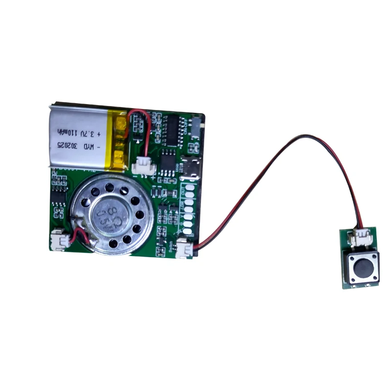 Recordable Voice Module Voice Recording Playback Module With