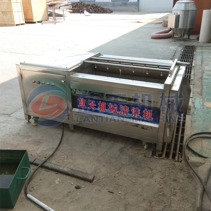 Automatic Bubble Washing Machine Jujube Blueberry Bubble Spray Fruit Washing Machine Citrus Orange Cleaning Equipment 4