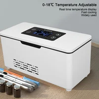 Réfrigérateur de refroidissement à insuline, boîte de réfrigérateur à insuline Rechargeable 10600mAh, température constante, refroidisseur de voiture Portable Reefer 2