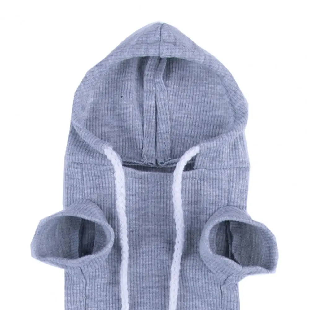 Ferret Hoodie Precision Wiring Cute Solid Color Drawstring Elastic Hamster Guinea Clothes Thick Fleece Ferret Hooded Sweatshirt