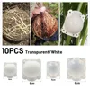 10PCS Plant Graft Box Rooting Equipment High Pressure Propagation Ball Garden For Indoor And Outdoor Plants Roses Climbers 1